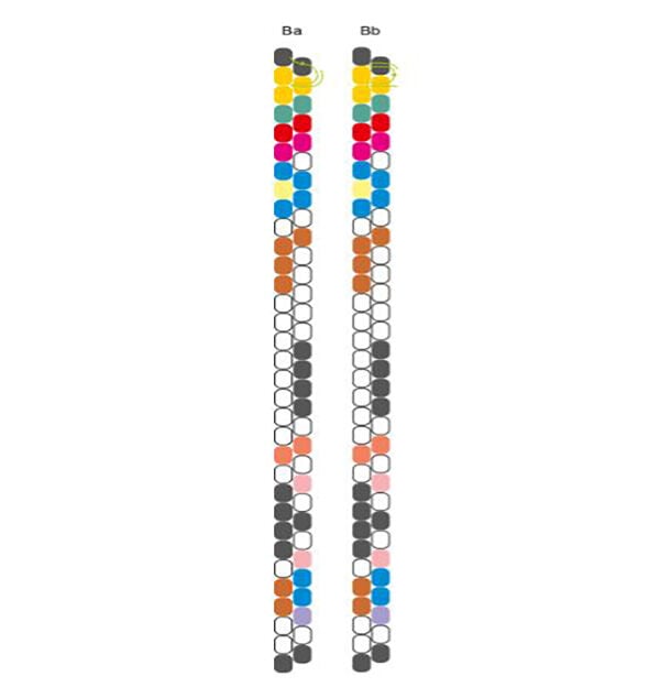 Two sets of two columns of multicolored seed beads.
